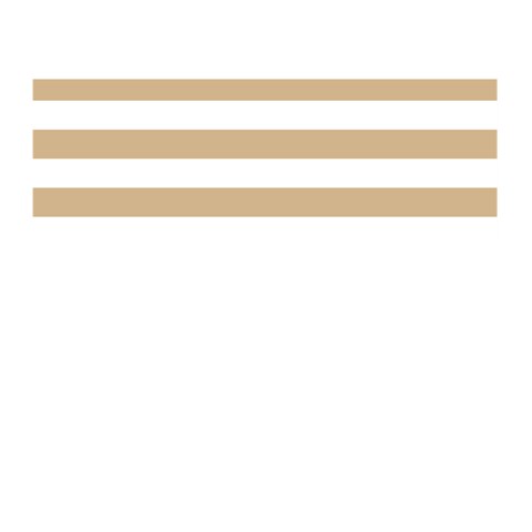 Horizontal Stripes Front