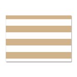Horizontal Stripes - White and Tan Brown Sticker A4 (100 pack)