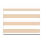 Horizontal Stripes - White and Pastel Brown Sticker A4 (10 pack)
