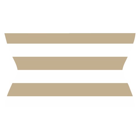 Horizontal Stripes Waistband Front