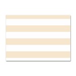 Horizontal Stripes - White and Champagne Orange Sticker A4 (10 pack)