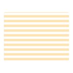 Horizontal Stripes - White and Peach Orange Double Sided Flano Blanket (Mini)