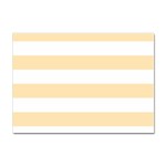 Horizontal Stripes - White and Peach Orange Sticker A4 (100 pack)