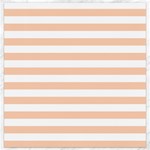 Horizontal Stripes - White and Apricot Orange Canvas 12  x 12 
