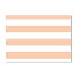 Horizontal Stripes - White and Apricot Orange Sticker A4 (100 pack)