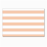 Horizontal Stripes - White and Apricot Orange Postcards 5  x 7  (Pkg of 10)