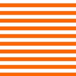 Horizontal Stripes - White and Safety Orange ScrapBook Page 12  x 12 