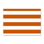 Horizontal Stripes - White and Burnt Orange Sticker A4 (100 pack)