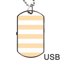 Horizontal Stripes Back