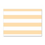 Horizontal Stripes - White and Navajo White Yellow Sticker A4 (100 pack)