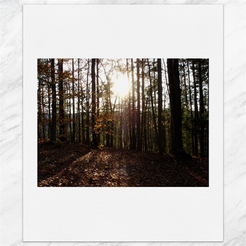 Forest 19.57 x23.15  Canvas - 1