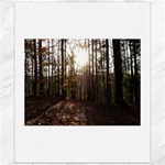Forest - Pa Grand Canyon ~Leo Harris St Park by Ave Hurley - Canvas 20  x 24 
