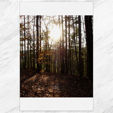 Forest 23.35 x34.74  Canvas - 1