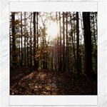Forest - Pa Grand Canyon ~Leo Harris St Park by Ave Hurley - Canvas 8  x 10 