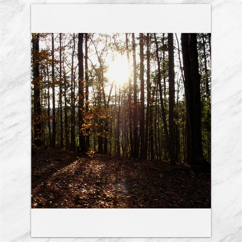 Forest 11.86 x15.41  Canvas - 1