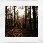 Forest - Pa Grand Canyon ~Leo Harris St Park by Ave Hurley - Canvas 12  x 16 