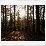Forest - Pa Grand Canyon ~Leo Harris St Park by Ave Hurley - Canvas 16  x 16 