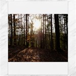 Forest - Pa Grand Canyon ~Leo Harris St Park by Ave Hurley - Canvas 16  x 20 