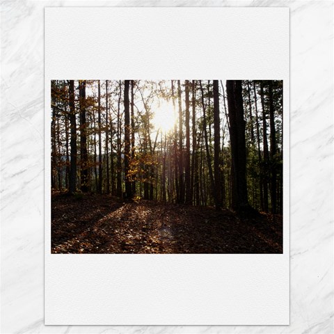 Forest 17.8 x23.08  Canvas - 1