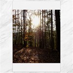 Forest - Pa Grand Canyon ~Leo Harris St Park by Ave Hurley - Canvas 24  x 36 