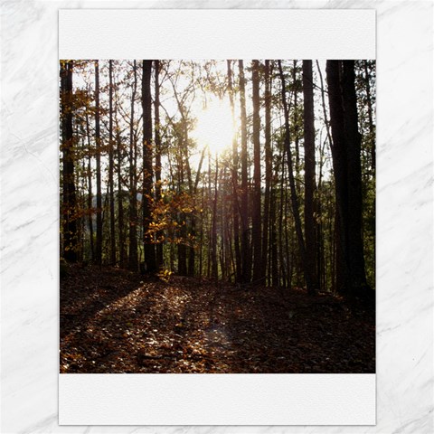 Forest 35.26 x46.15  Canvas - 1