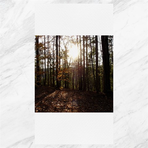 Forest 39.28 x69.23  Canvas - 1