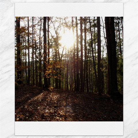Forest 10.95 x13.48  Canvas - 1