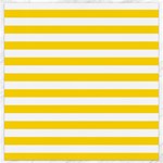 Horizontal Stripes - White and Gold Yellow Canvas 12  x 12 