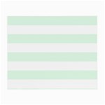 Horizontal Stripes - White and Pale Green Small Glasses Cloth
