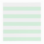 Horizontal Stripes - White and Pale Green Medium Glasses Cloth