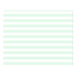 Horizontal Stripes - White and Pale Green Double Sided Flano Blanket (Large)