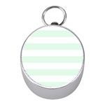 Horizontal Stripes - White and Pale Green Silver Compass (Mini)