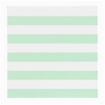 Horizontal Stripes - White and Pastel Green Medium Glasses Cloth