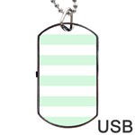 Horizontal Stripes - White and Pastel Green Dog Tag USB Flash (Two Sides)