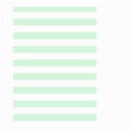 Horizontal Stripes - White and Pastel Green Large Garden Flag (Two Sides)