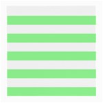 Horizontal Stripes - White and Light Green Medium Glasses Cloth