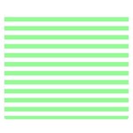 Horizontal Stripes - White and Light Green Double Sided Flano Blanket (Small)
