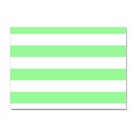 Horizontal Stripes - White and Light Green Sticker A4 (100 pack)