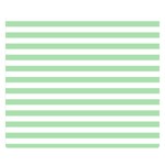 Horizontal Stripes - White and Celadon Green Double Sided Flano Blanket (Small)