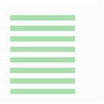 Horizontal Stripes - White and Celadon Green Small Garden Flag (Two Sides)