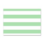 Horizontal Stripes - White and Celadon Green Sticker A4 (100 pack)