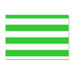Horizontal Stripes - White and Lime Green Sticker A4 (100 pack)