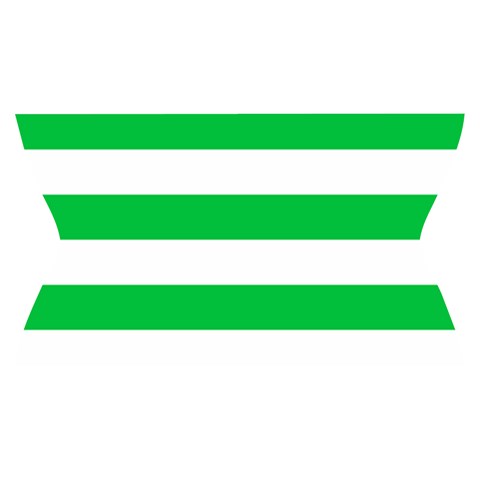 Horizontal Stripes Waistband Front