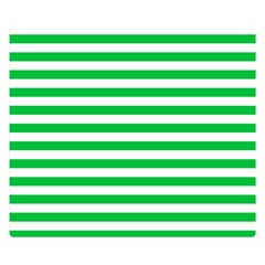 Horizontal Stripes 50 x40  Blanket Back