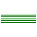 Horizontal Stripes - White and Green Satin Scarf (Oblong)