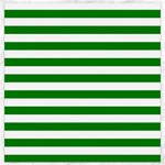 Horizontal Stripes - White and Green Canvas 16  x 16 