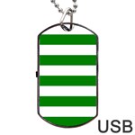 Horizontal Stripes - White and Green Dog Tag USB Flash (Two Sides)