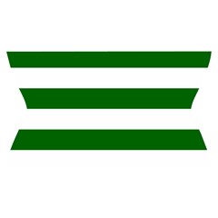 Horizontal Stripes Waistband Front