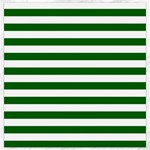 Horizontal Stripes - White and Dark Green Canvas 12  x 12 