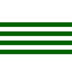 Horizontal Stripes - White and Dark Green YOU ARE INVITED 3D Greeting Card (8x4)